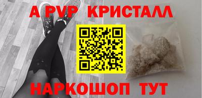 хмурый Кингисепп