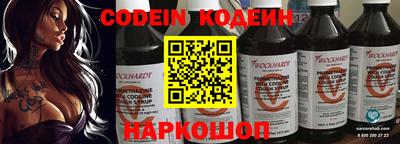 хмурый Кингисепп