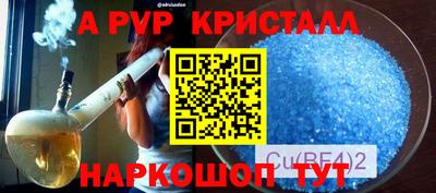 хмурый Кингисепп