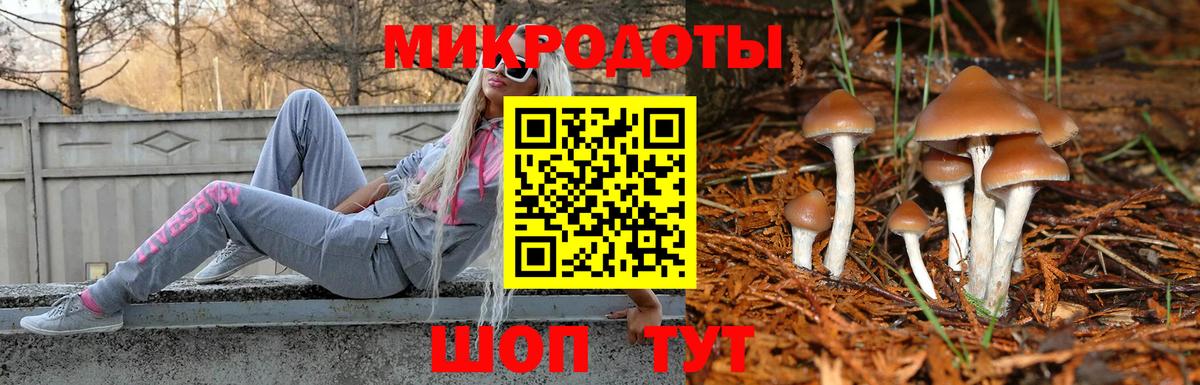 Псилоцибиновые грибы мухоморы  Вход с VPN  Галлюциногенные грибы ЛСД  Волхов 