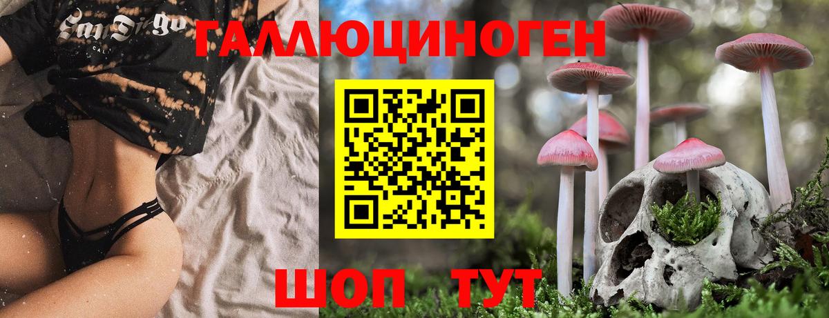 Галлюциногенные грибы GOLDEN TEACHER Волхов